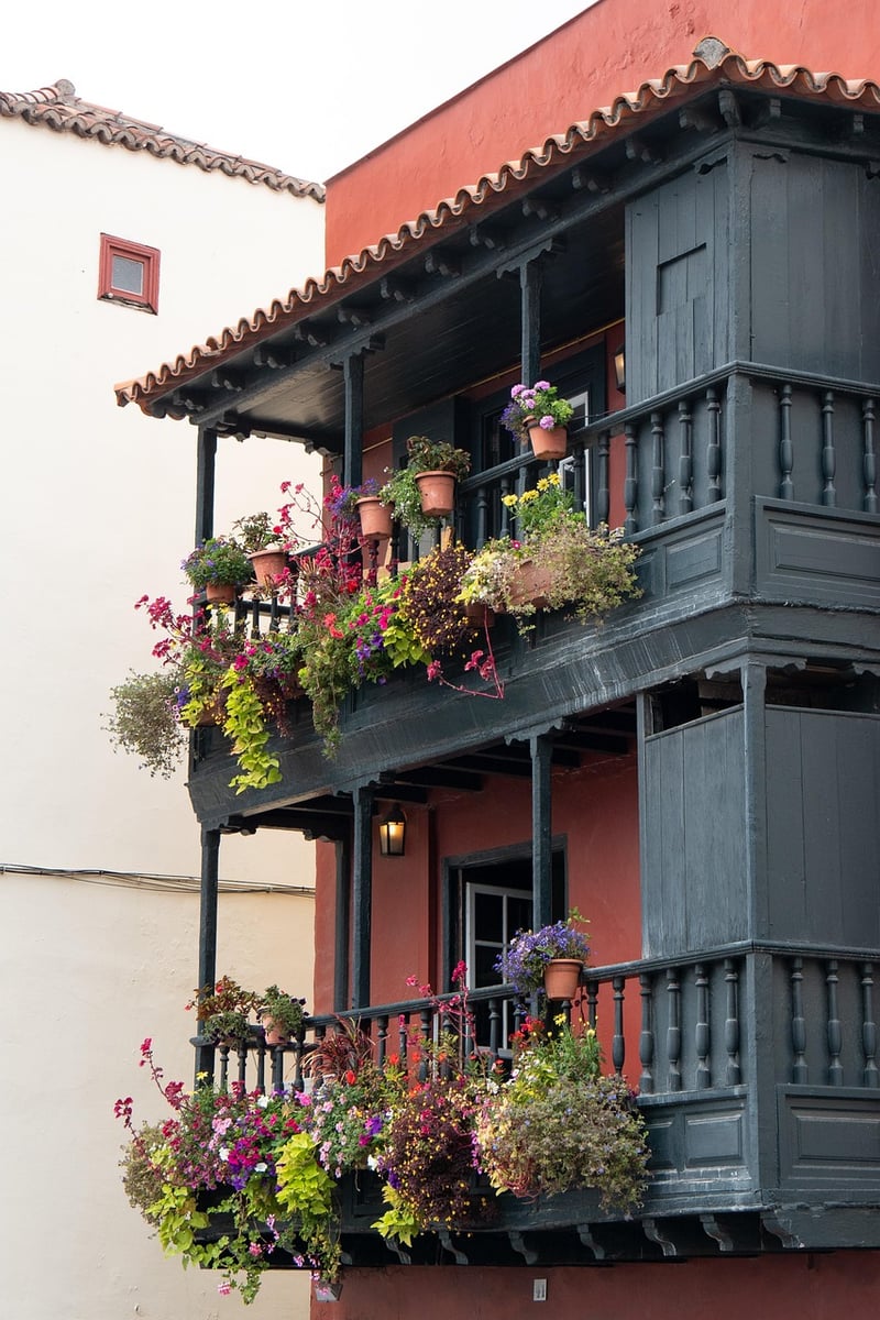 Balcony Planting Guide